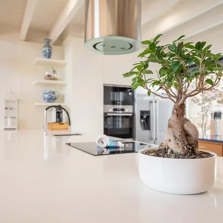 Βίλα Loft In